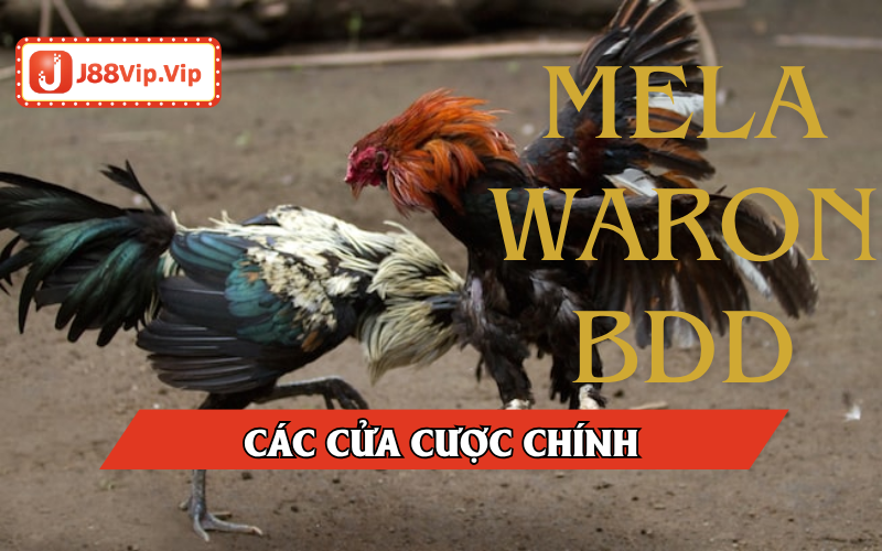 Cửa cược Wala - Meron - BDD